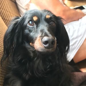 Meet your Posher, William